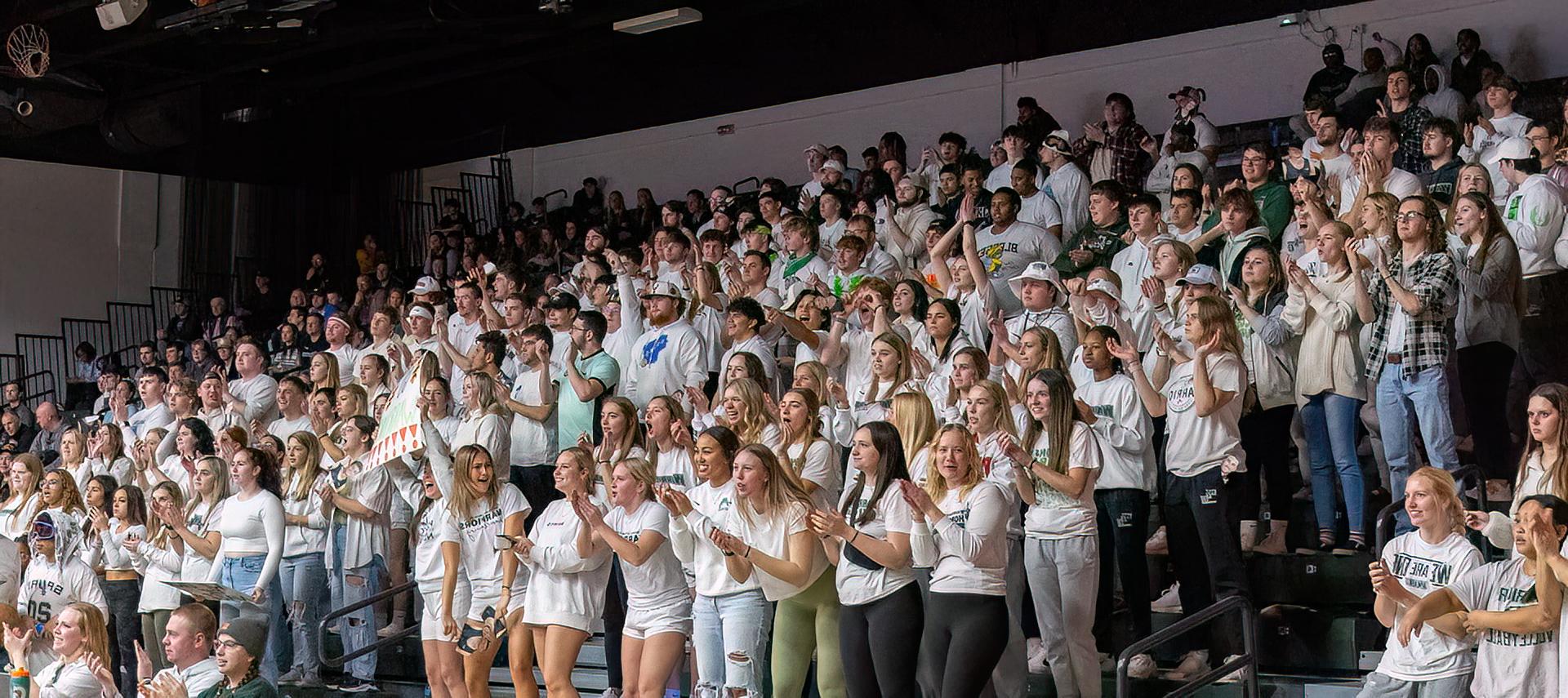 Crowd at men's basketball game